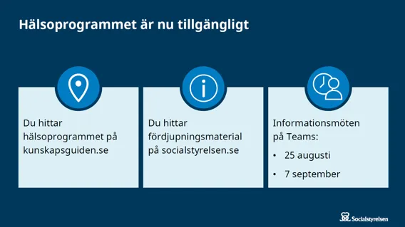 En Power Point bild med förklaring om hälsoprogrammet.